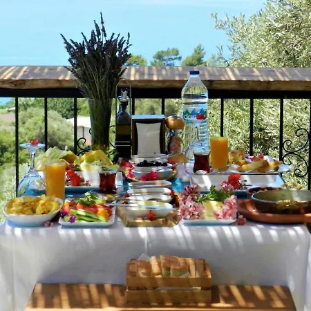 Kabak Misafir Evi Faralya