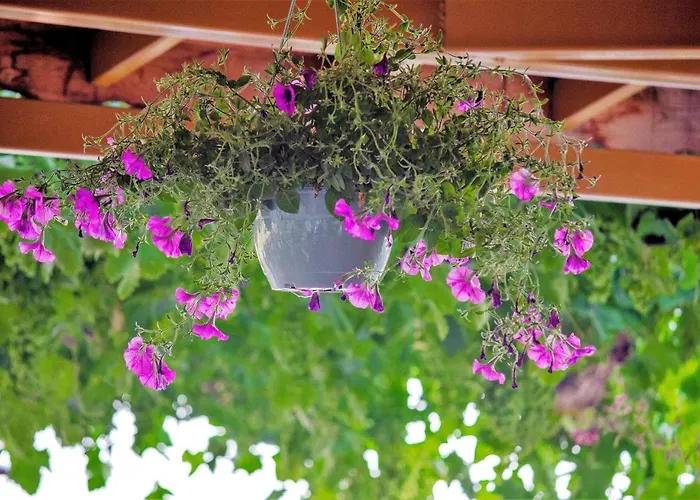 Kabak Misafir Evi Motel