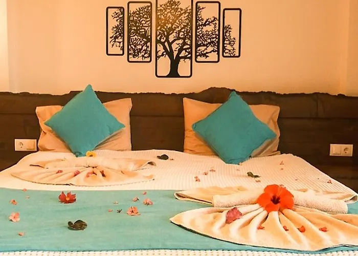 Kabak Misafir Evi Faralya