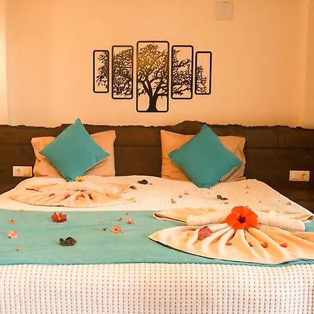 Kabak Misafir Evi 파랄리아